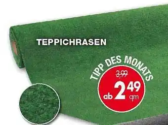 TTL Teppichrasen Angebot