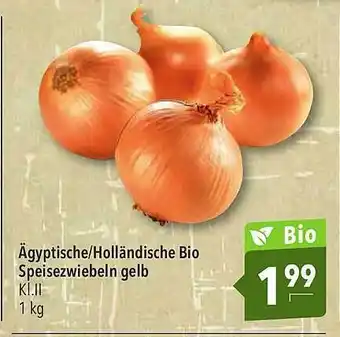 CITTI Markt Ägyptische/Holländische Bio Speisezwiebeln Gelb 1kg Angebot