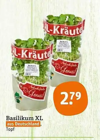 tegut Basilikum XL Angebot