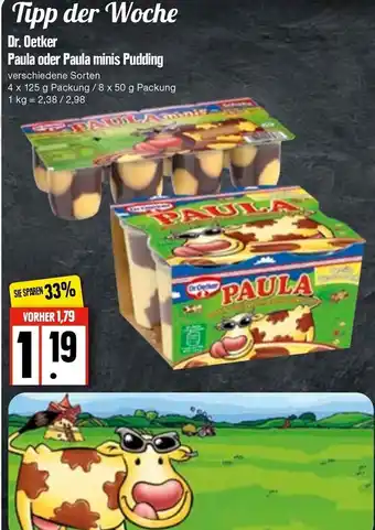 Edeka Dr. Oetker Paula oder Paula minis Pudding 4 x 125 g Angebot