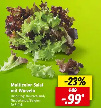 Lidl Multicolor-salat Angebot