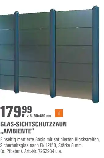 OBI Glas-sichtschutzzaun „ambiente“ Angebot