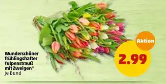 PENNY Wunderschöner frühlingshafter tulpenstrauß mit zweigen Angebot