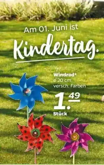 NETTO Windrad Angebot