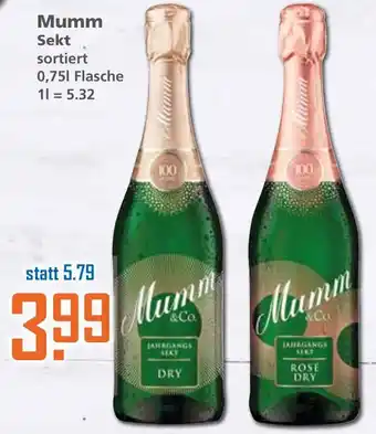 Klaas und Kock Mumm Sekt 0,75L Flasche Angebot