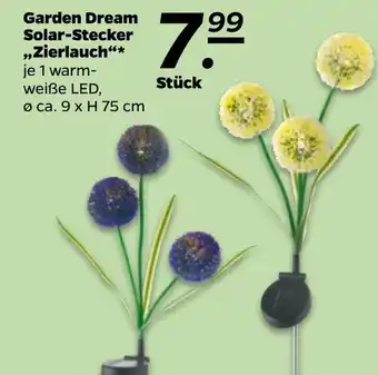 NETTO Garden Dream Solar Stecker ,,Zierlauch" Angebot