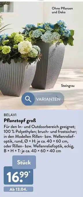 Belavi Pflanztopf Gro Angebot bei Aldi Nord