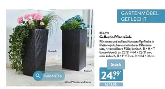 Aldi Nord Belavi Geflecht-pflanzsäule Angebot