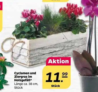 NETTO Cyclamen und Ziergras im Holzgefäß Angebot