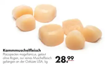 Handelshof Kammmuschelfleisch Angebot