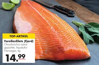 Handelshof Forellenfilets (Fjord) Angebot