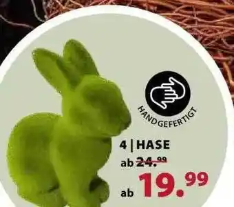 Dehner Hase Angebot