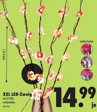 Mäc Geiz XXL LED Zweig Angebot