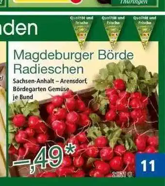 Norma Magdeburger Börde Radieschen Angebot