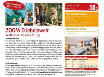 REWE Reisen Zoom Erlebniswelt Angebot