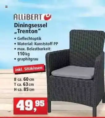 Thomas Philipps Allibert Diningsessel „trenton” Angebot