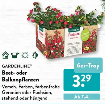 Aldi Süd Gardenline Beet oder Balkonpflanzen Angebot