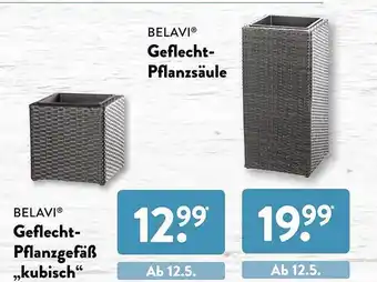 Aldi Süd Belavi Geflecht-pflanzgefäß „kubisch“ Oder Geflecht-pflanzsäule Angebot