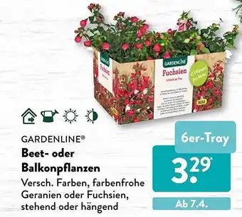 Aldi Süd Gardenline Beet- Oder Balkonpflanzen Angebot