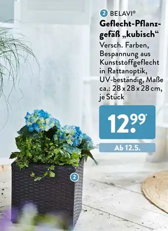 Aldi Süd Belavi Geflecht Pflanzgefäß kubisch Angebot