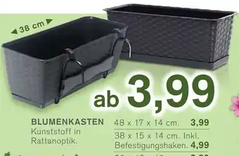 KODi Blumenkasten Angebot