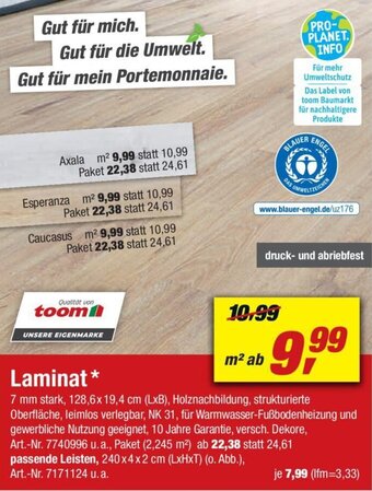 toom Baumarkt Laminat Angebot