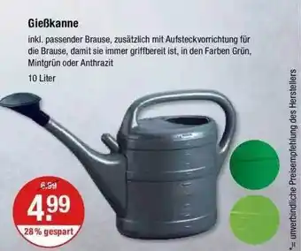 V Markt Gießkanne Angebot