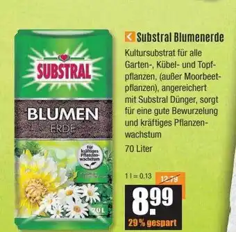 V Baumarkt Substral Blumenerde Angebot