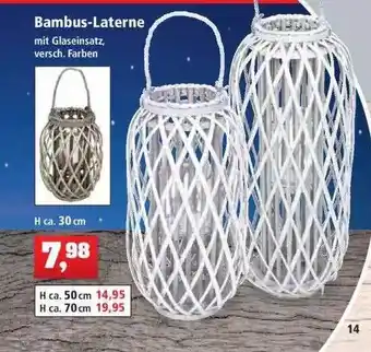 Thomas Philipps Bambus-laterne Angebot
