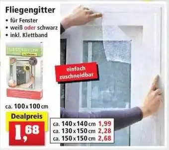 Thomas Philipps Fliegengitter\"> Angebot