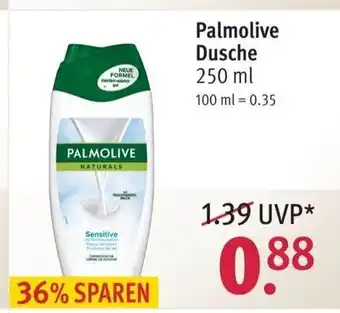 Rossmann Palmolive Dusche 250ml Angebot