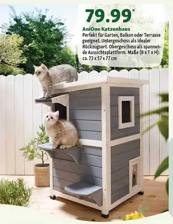 Fressnapf Anione Katzenhaus Angebot