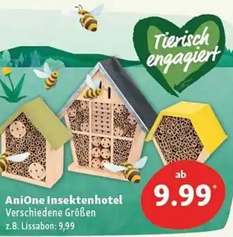 Fressnapf Anione Insektenhotel Angebot