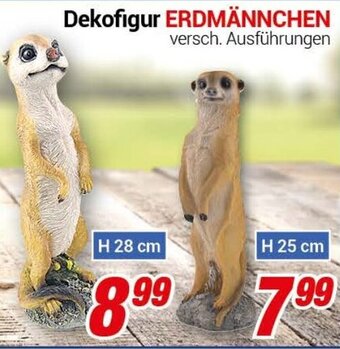 CENTERSHOP Dekofigur Erdmännchen Angebot