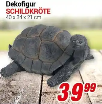 CENTERSHOP Dekofigur Schildkröte Angebot