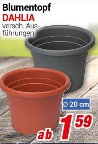 CENTERSHOP Blumentopf Dahlia Angebot