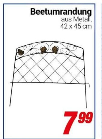 CENTERSHOP Beetumrandung Angebot
