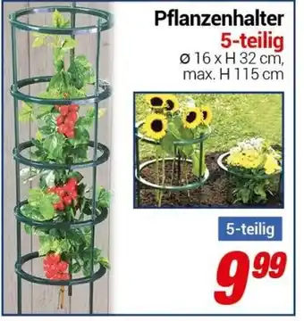 CENTERSHOP Pflanzenhalter 5 teilig Angebot