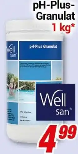 CENTERSHOP Well san pH Plus Granulat 1kg Angebot