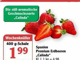 Globus Spanien Premium Erdbeeren „calinda” Angebot