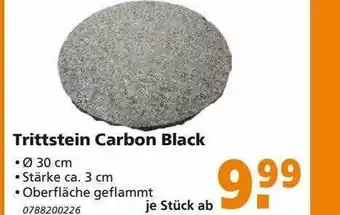 Globus Baumarkt Trittstein Carbon Black Angebot