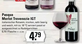 Meyer's Frischemarkt Pasqua Merlot Trevenezie IGT 0,75L Flasche Angebot