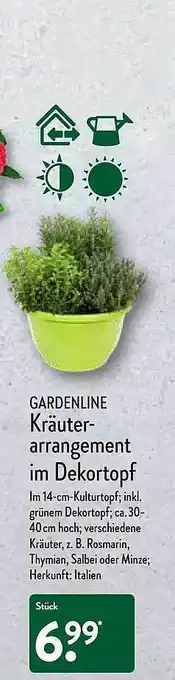 Aldi Nord Gardenline Kräuter-arrangement Im Dekortopf Angebot