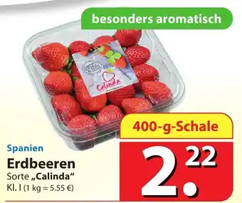 Famila Nord Ost Spanien Erdbeeren ,,Calinda" 400g Schale Angebot