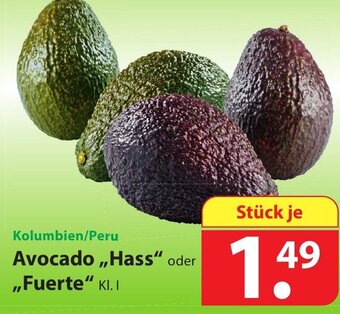 Famila Nord Ost Avocado Hass oder Fuerte Angebot