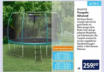 Aldi Nord Wellactive Trampolin Advanced Angebot