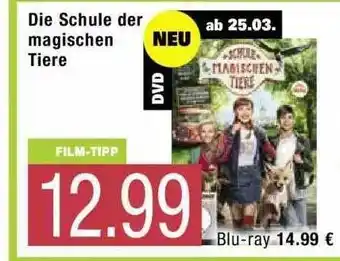 Marktkauf Die Schule Der Magischen Tiere Angebot