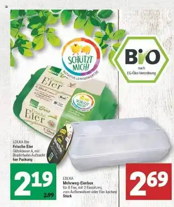 Marktkauf Edeka Bio Frische Eier Mehrweg-eierbox Angebot