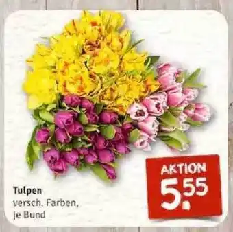 nahkauf Tulpen Angebot