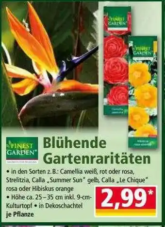 Norma Finest Garden Blühende Gartenraritäten Angebot